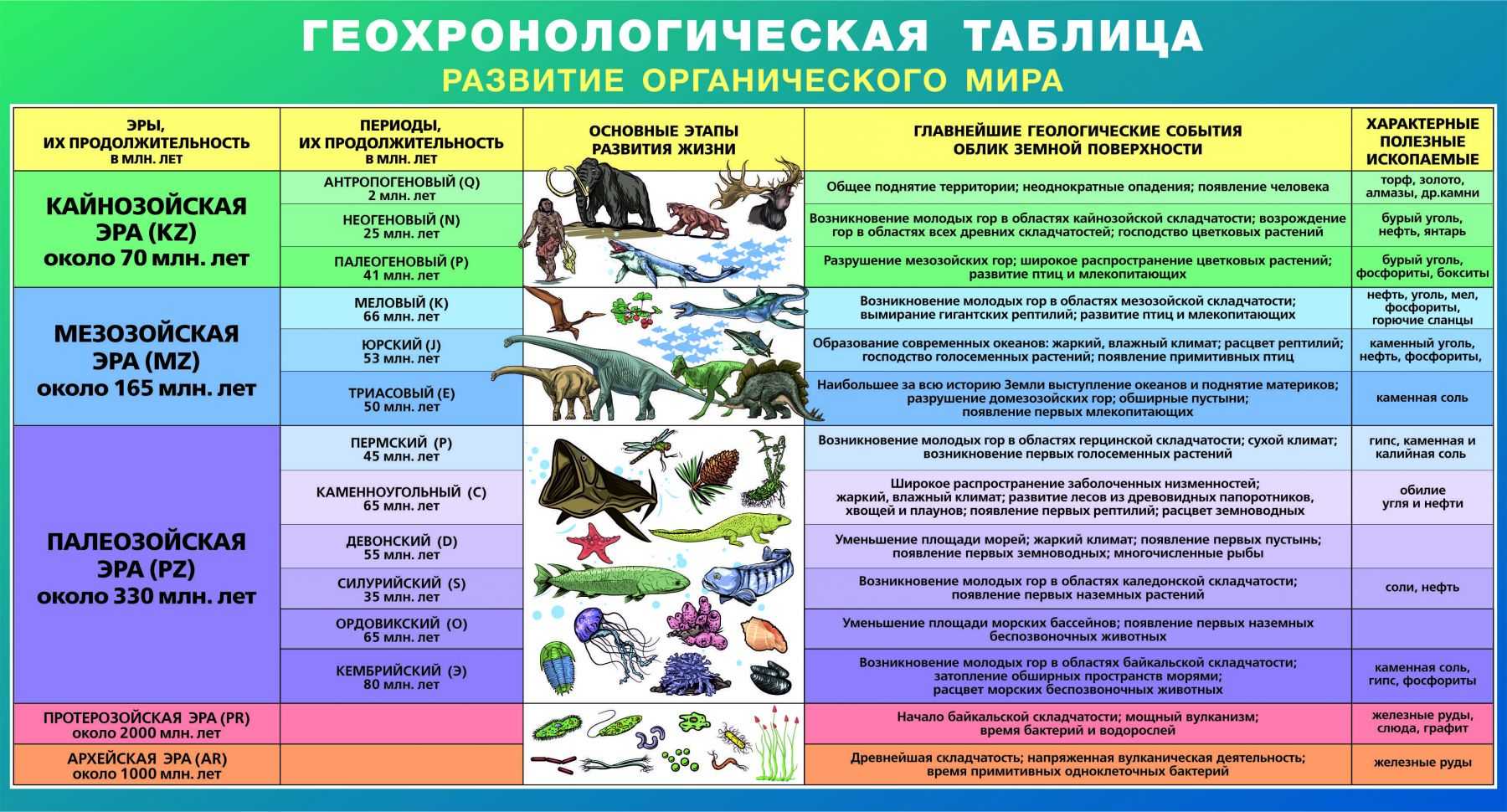 Архейская ⭐ эра: развитие жизни, животный и растительный мир в архейскую эпоху