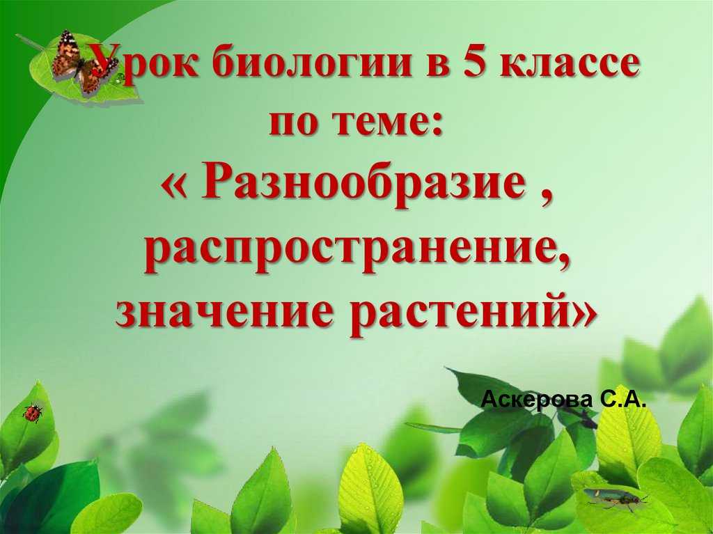 "наука о растениях - ботаника" 5 класс презентация, доклад, проект