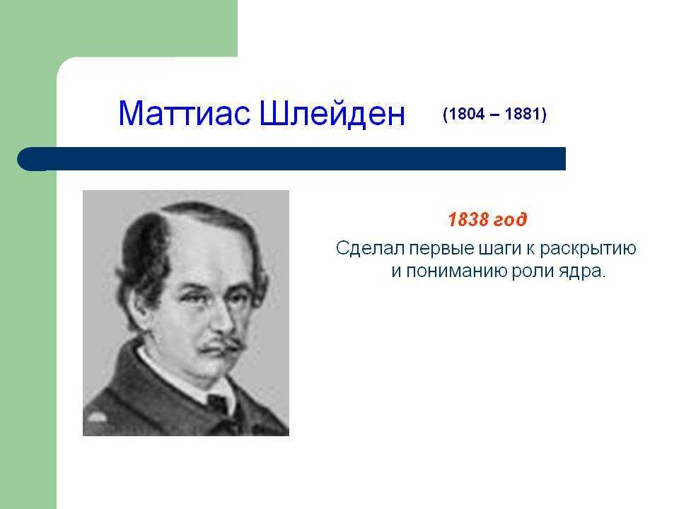 Шлейден, маттиас якоб: биография и достижения – открытие для мира