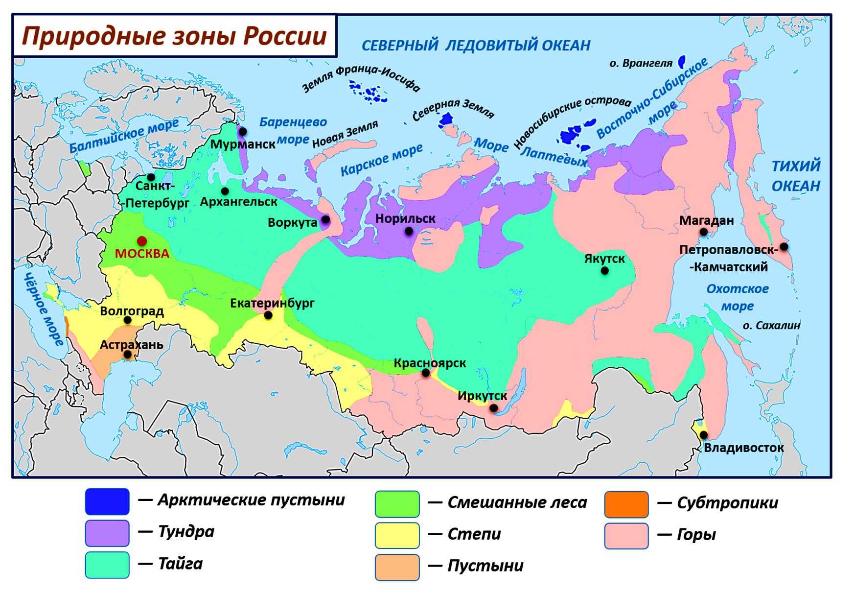 Заповедники лесной зоны россии: величественный комплекс природных богатств