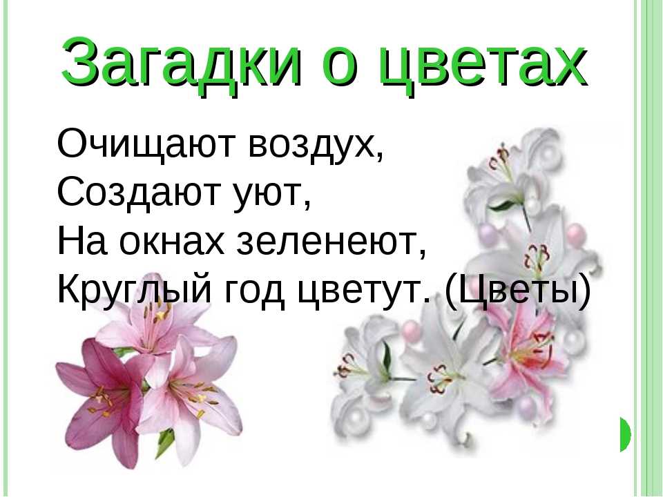 Загадки про растения для детей: с картинками в ответах