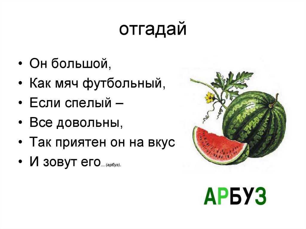 Загадки о книге с ответами