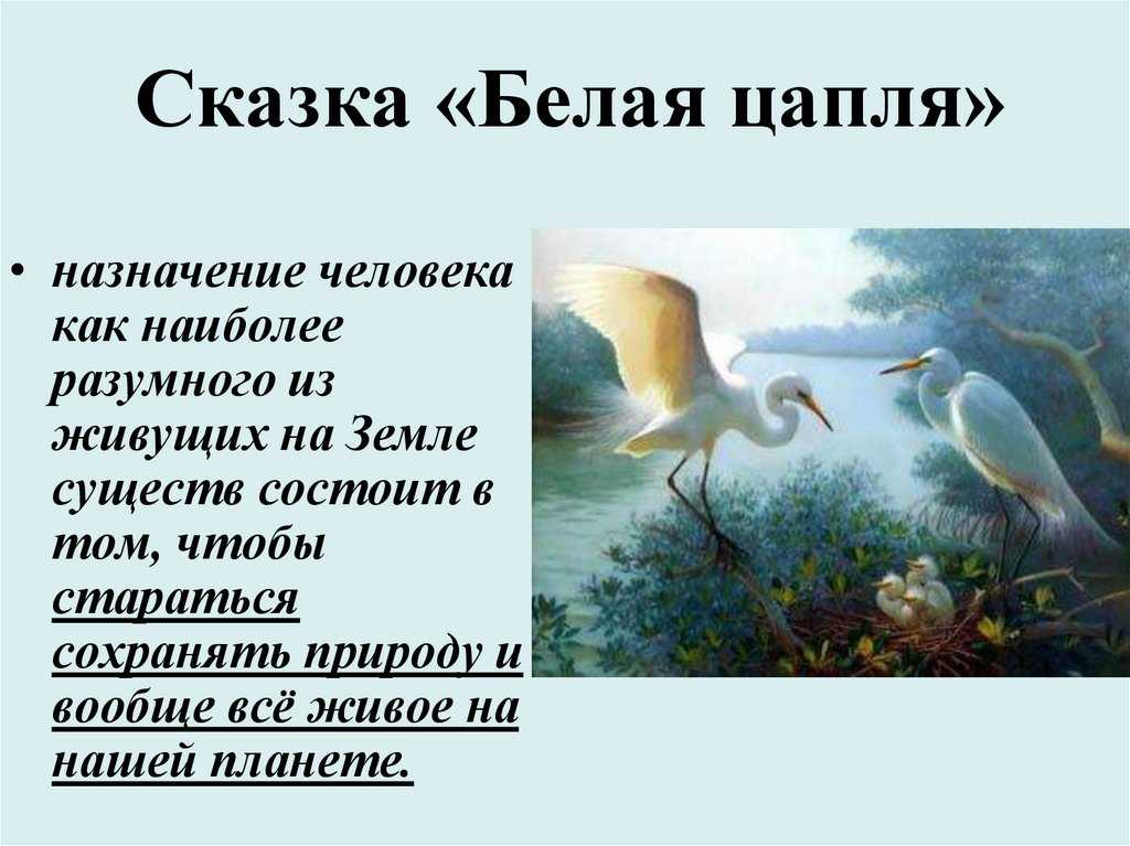 «белая цапля» - краткое содержание сказки н.д. телешова