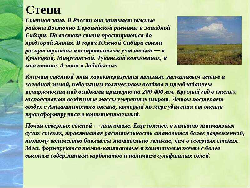 Природные зоны