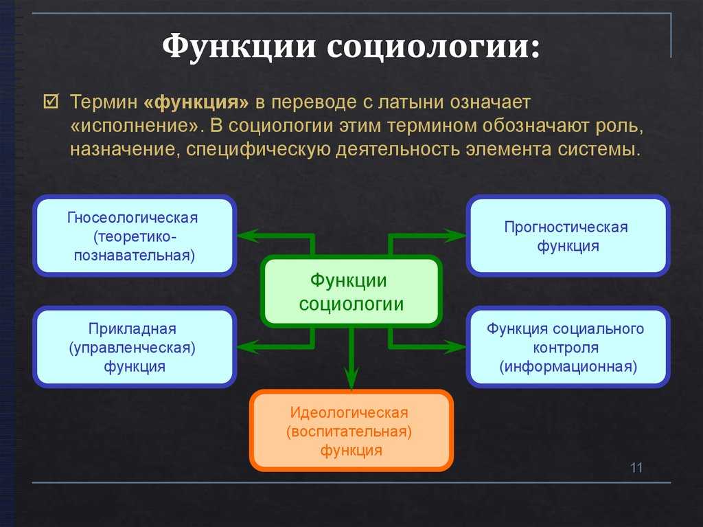 Экономическая социология в системе наук