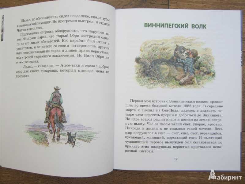 Эрнест сетон-томпсон: виннипегский волк