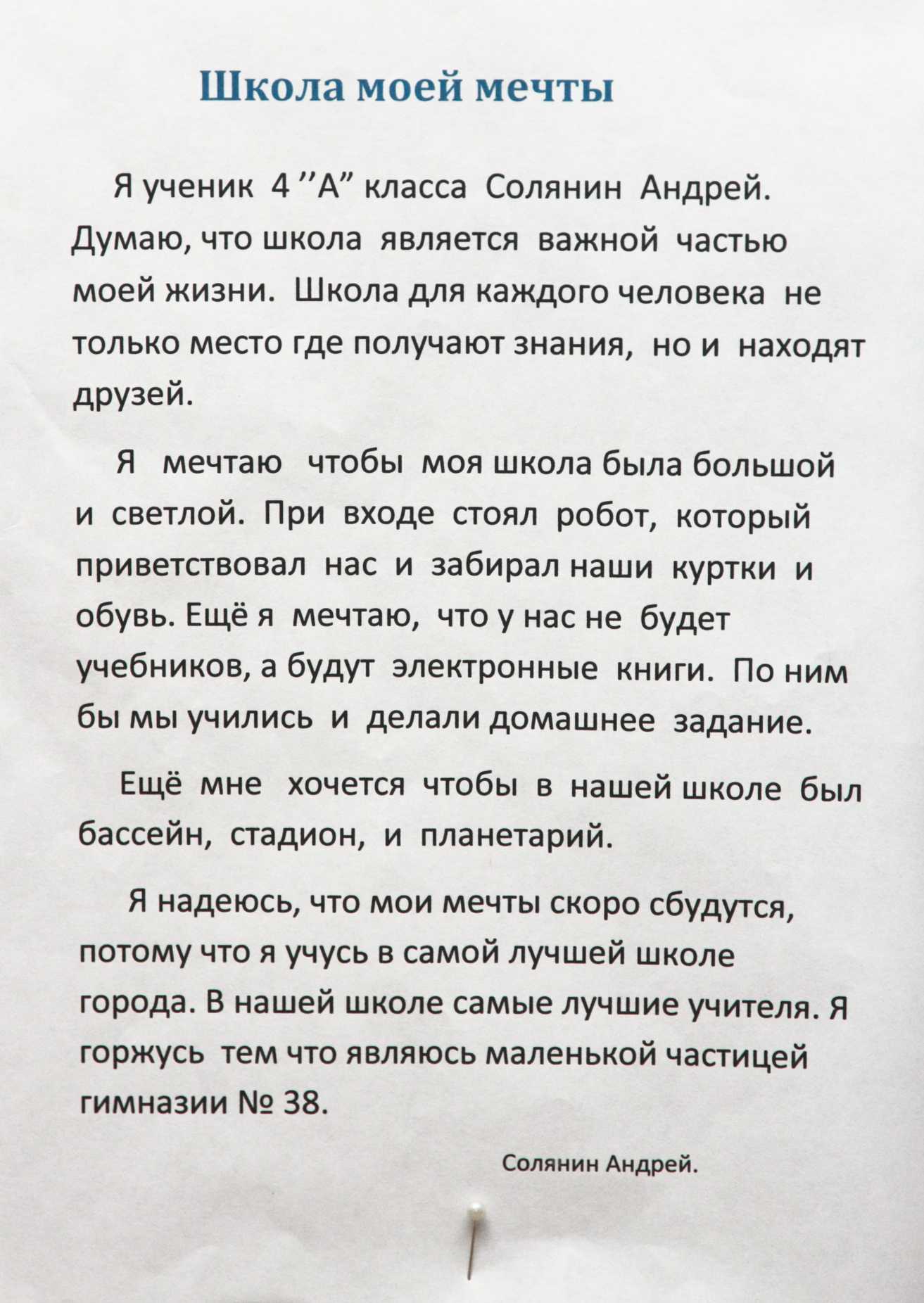 Моя мечта сочинение | ism-print.ru