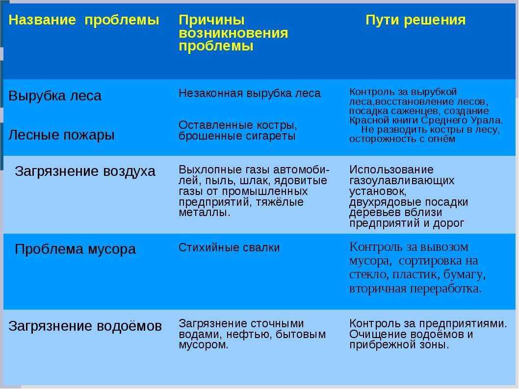 Вырубка леса в россии и мире: к чему может привести и как исправить
