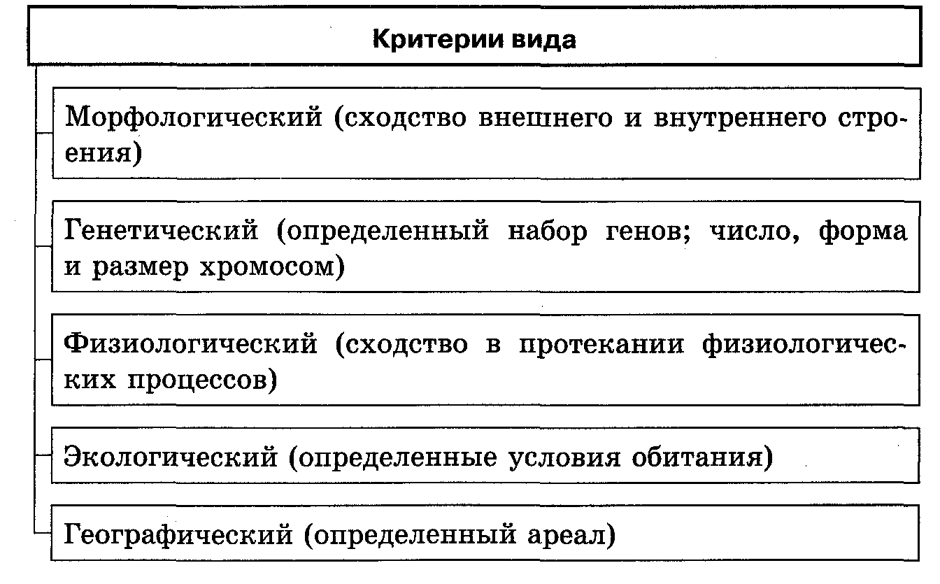 Характеристика критериев вида (биология, 11 класс)