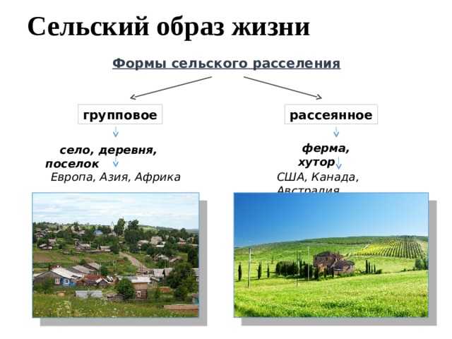 Особенности развития сельского расселения россии