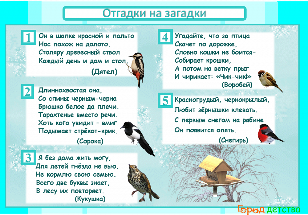 Загадки про птиц