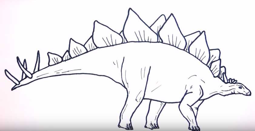Как нарисовать динозавра: фото и описание техник рисования трицератопса, раптора, стегозавра, тираннозавра