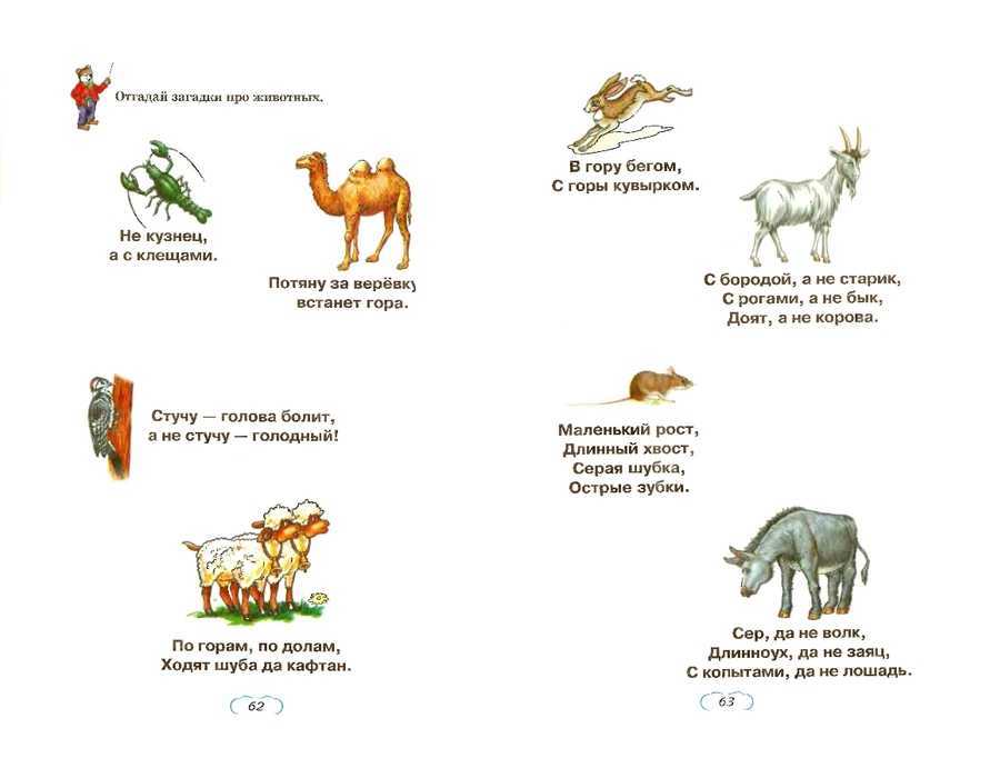 Загадки для развития логики у детей от 3 до 6 лет - простые, сложные, в рифму, с подвохом