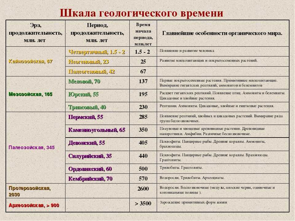 Особенности флоры и фауны эры катархейска