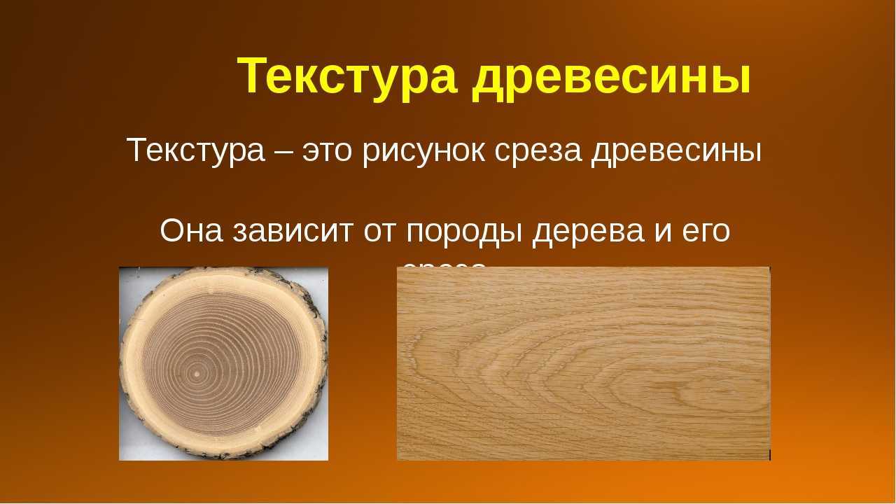 Презентация на тему "древесина" 6 класс
