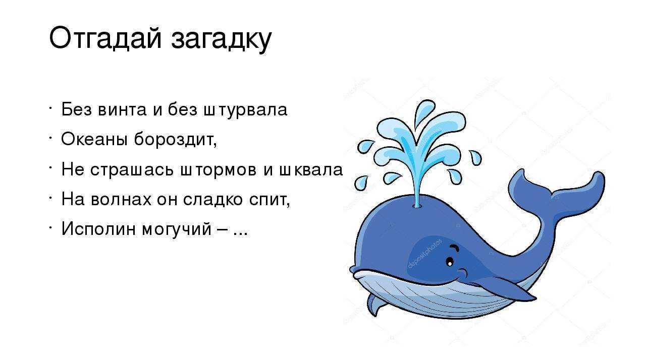 Загадки про животных: 185 смешных, легких, простых и сложных загадок для детей 4, 5, 6 лет и школьников 1, 2, 3-5 класса / mama66.ru