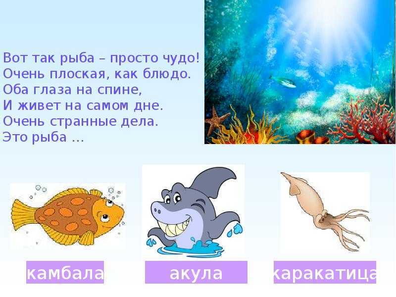 Загадки про подводный мир с ответами для детей 7-9 лет
