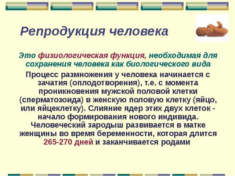 Урок 5: размножение растений - 100urokov.ru
