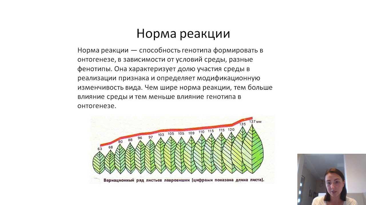 Узкие и широкие нормы реакции признаки фенотипа