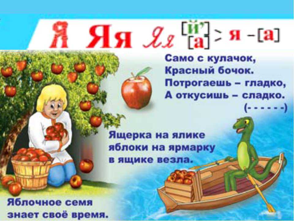 Загадки с подвохом и на логику – смешные и сложные загадки с ответами