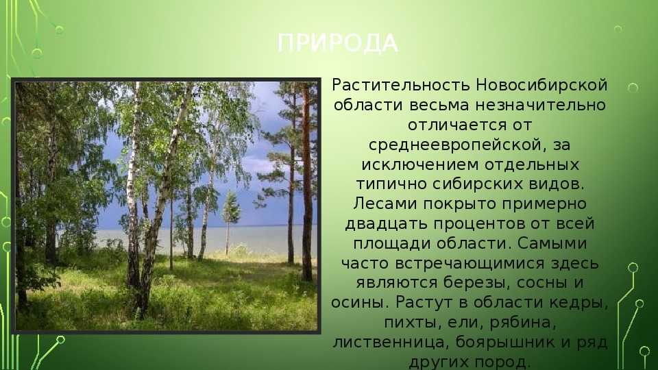 Доклад на тему «характеристика родного края» (окружающий мир 2 класс): сущность и значение понятия