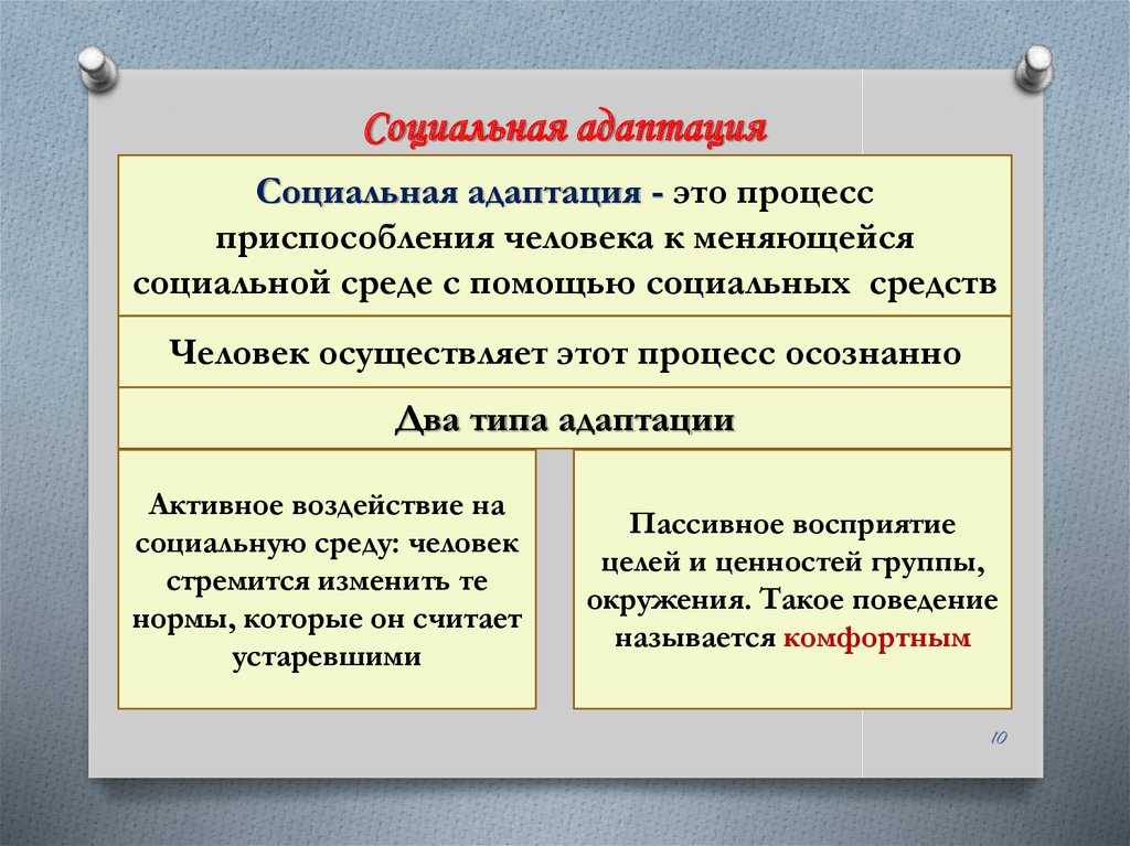 Социальная  адаптация: что это, уровни, средства, процесс, итоги