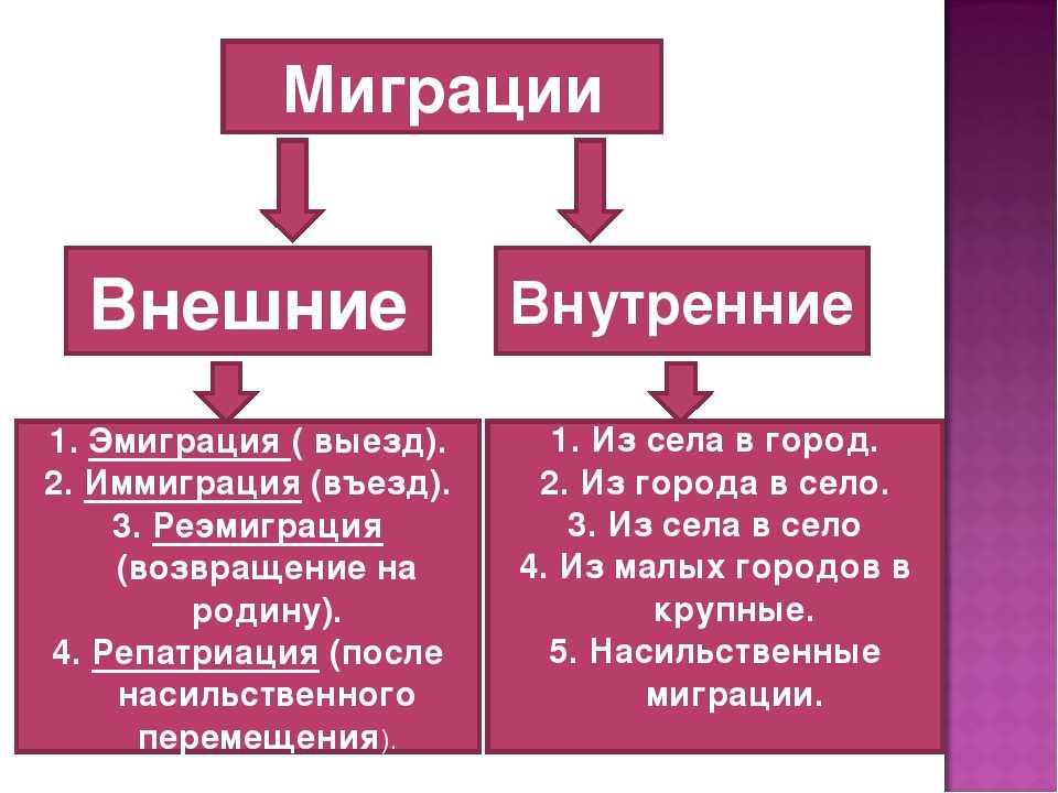 Чем отличается внешняя миграция от внутренней кратко