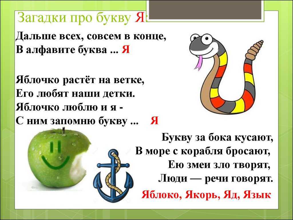 30 загадок на русском языке с ответами