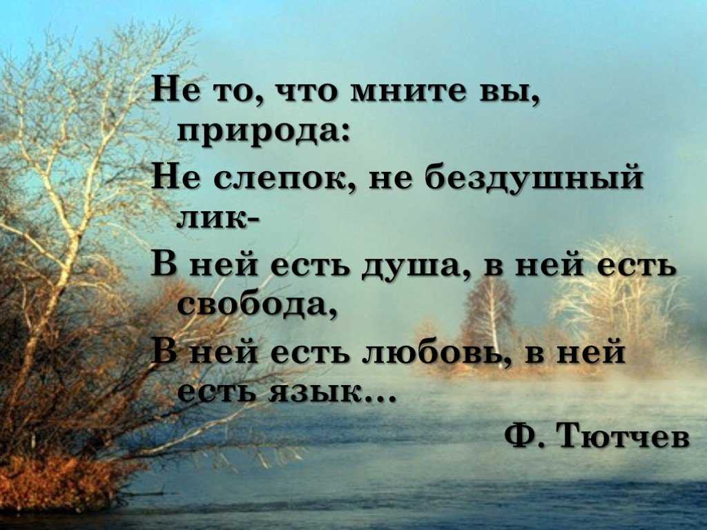 Стихи о природе русских поэтов