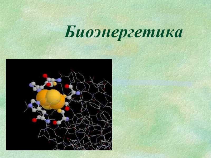 Что такое биоэнергетика?