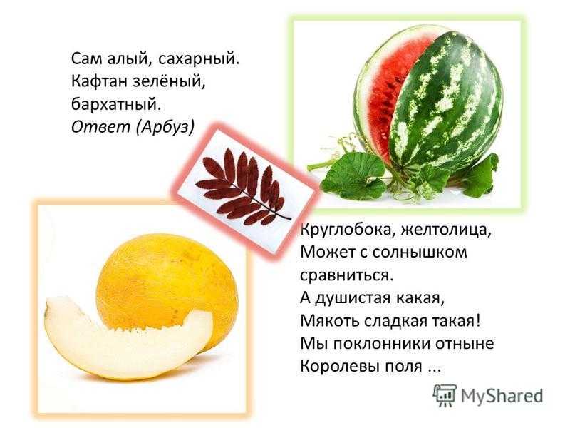 Загадки о еде русские народные. загадки о питании