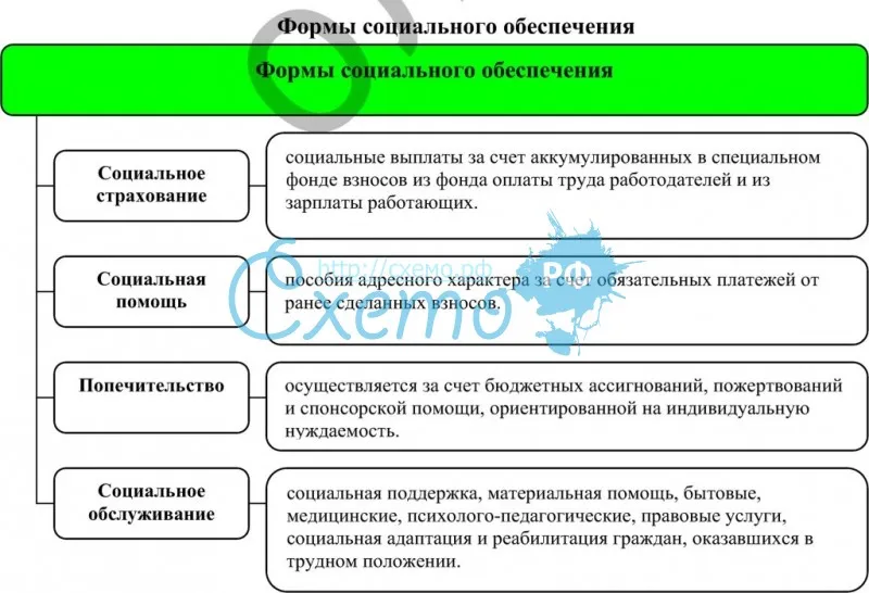 Министерство труда и социальной защиты российской федерации: соцзащита и ее основные функции