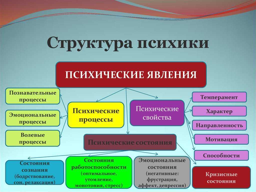 Психология. ответы  на вопросы. психология как наука о внутреннем мире человека. этапы становления психологии как науки. задачи и предмет психологии