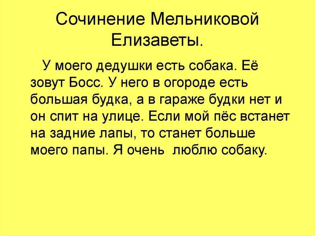 Сочинение на тему описание собаки 5 класс