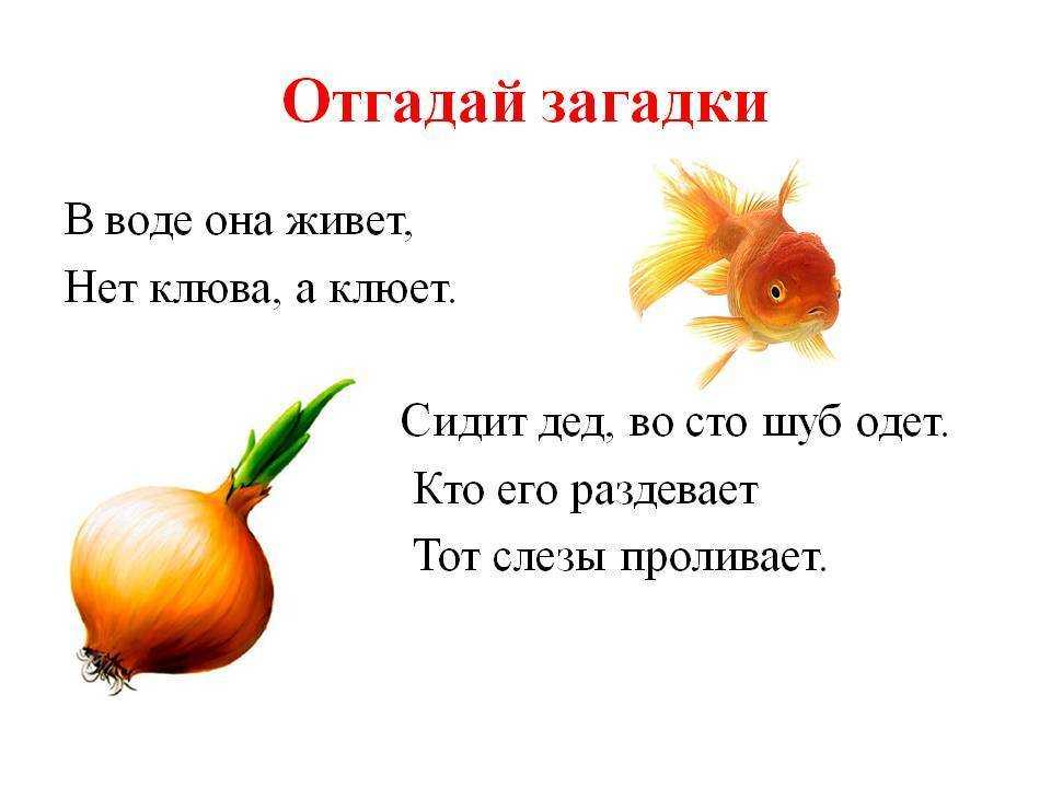 Загадки про корову для детей