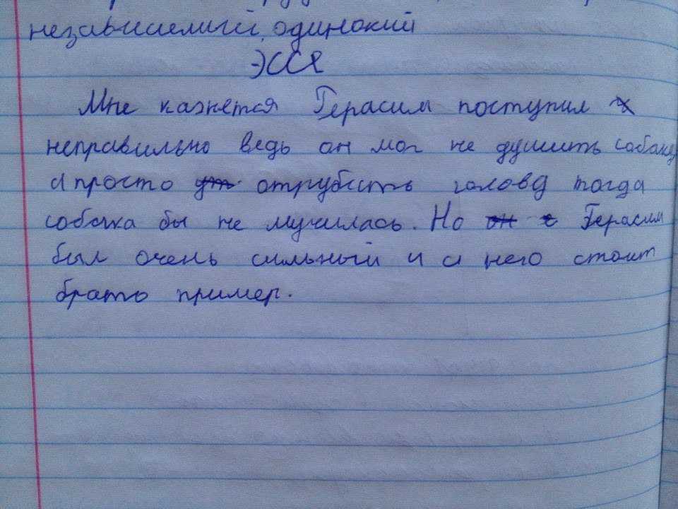 Первая неделя в школе: отличное готовое сочинение
