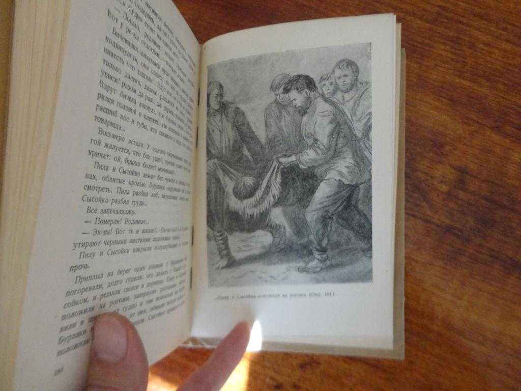 Федор решетников ★ подлиповцы читать книгу онлайн бесплатно