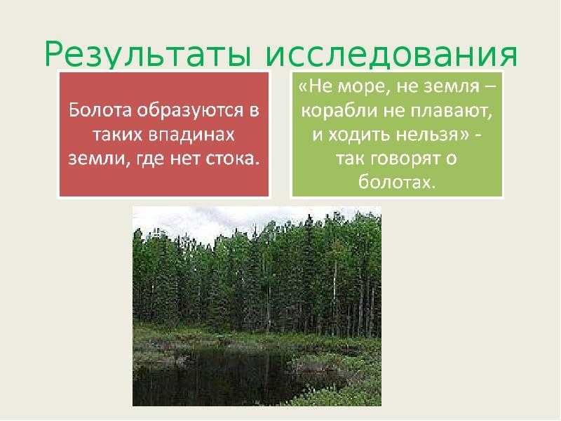 Значение болот для природы и человека