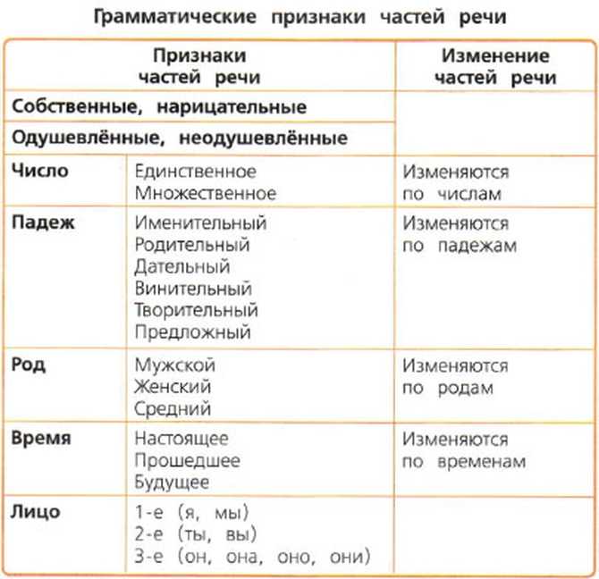 Части речи в русском языке: таблица с примерами