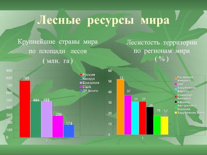 Лесные ресурсы россии