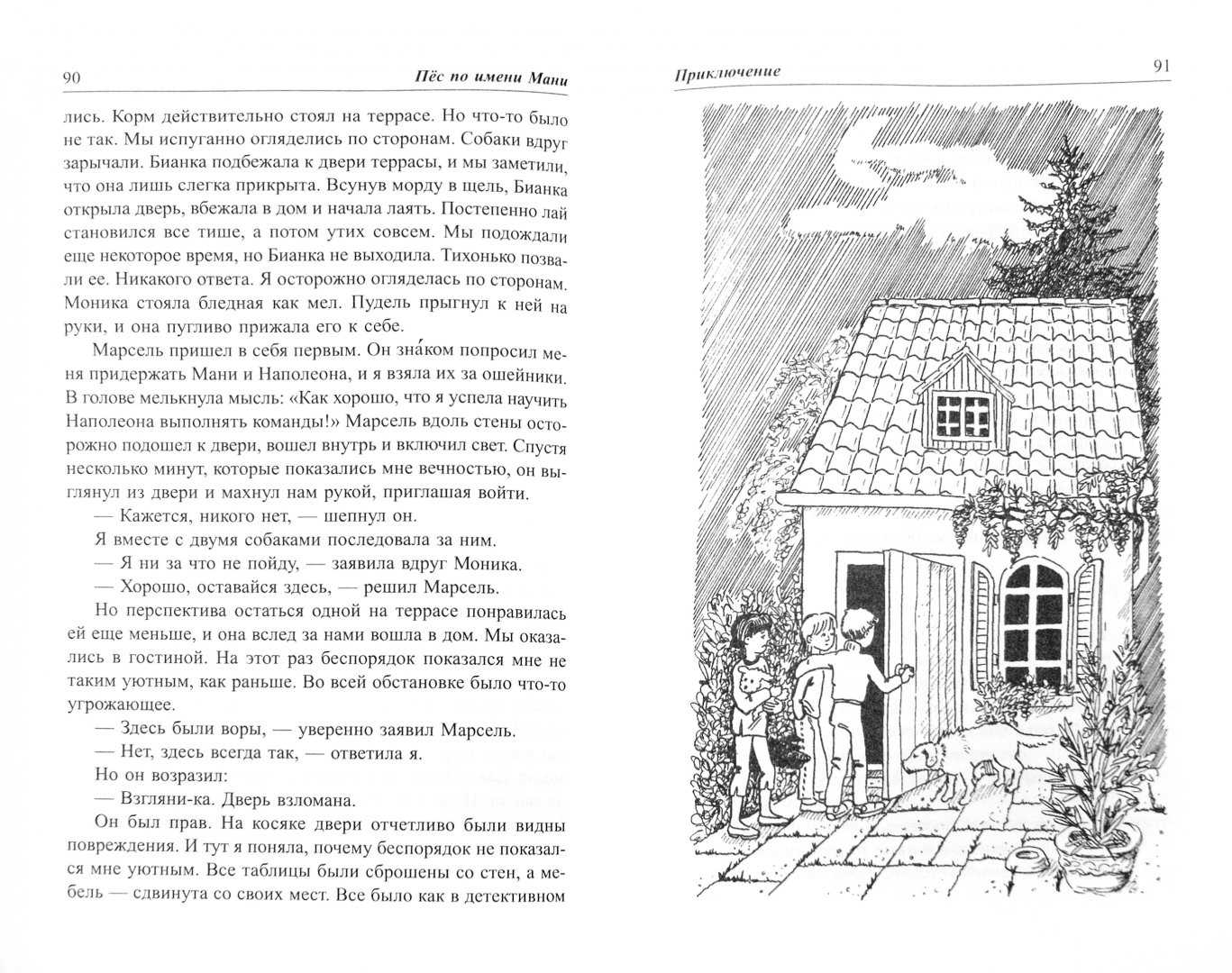 Книга пёс по имени мани читать онлайн бесплатно, автор бодо шефер – fictionbook