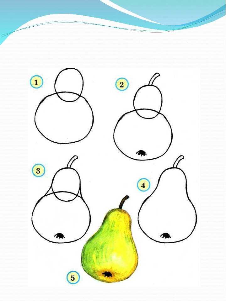 Как нарисовать фрукты поэтапно карандашом (56 фото) — легкие мастер-классы по рисованию фруктов | креативные мамы