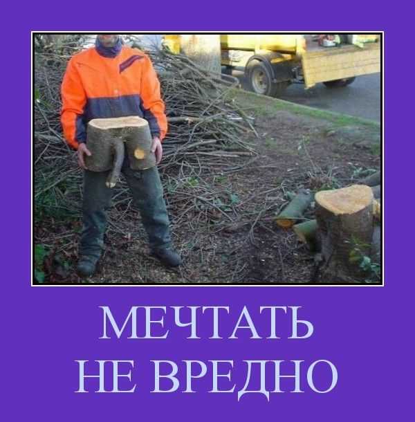 Почему люди мечтают? и о чём мечтаю я?