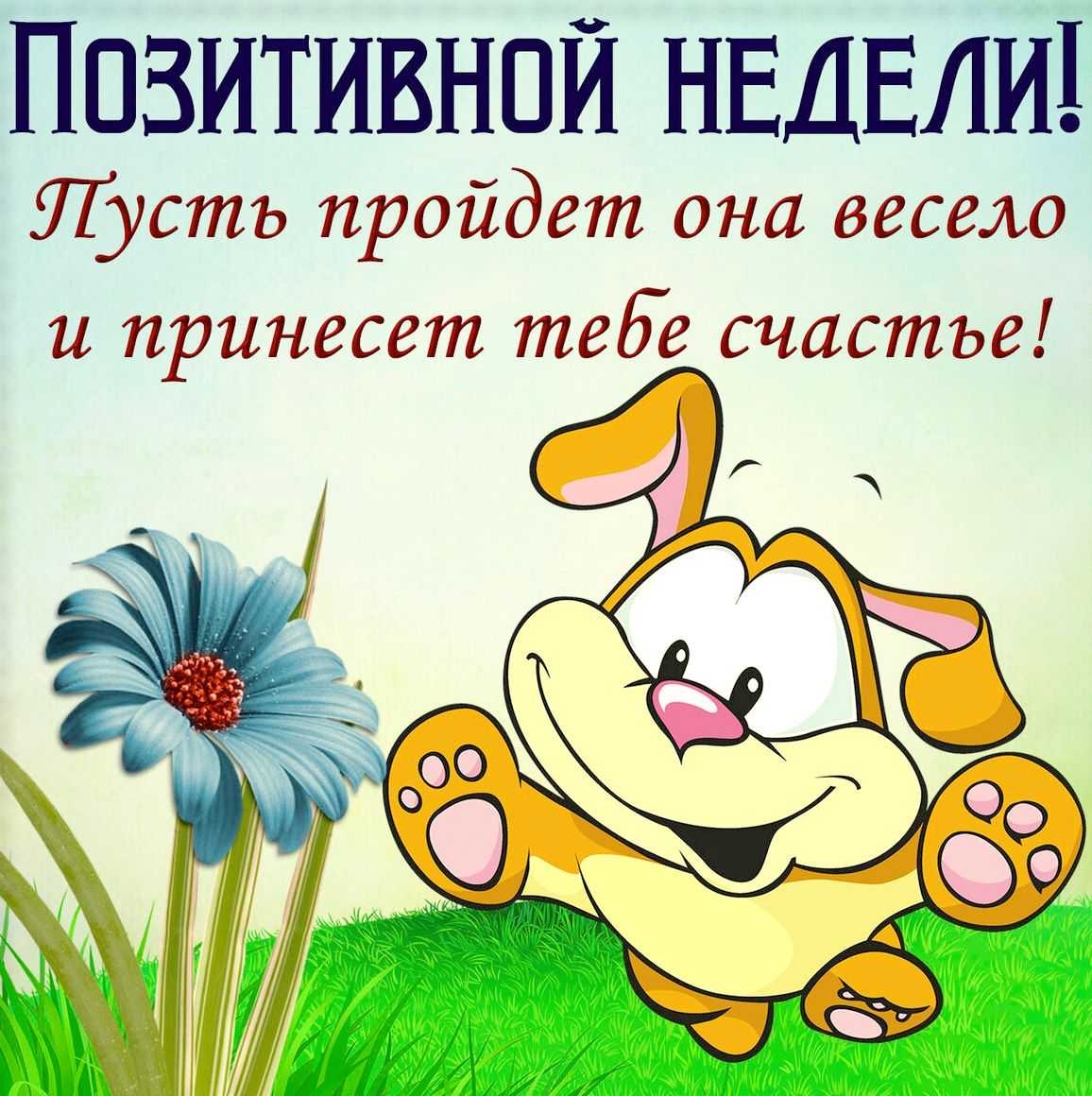 Смешные стихи о школе для детей