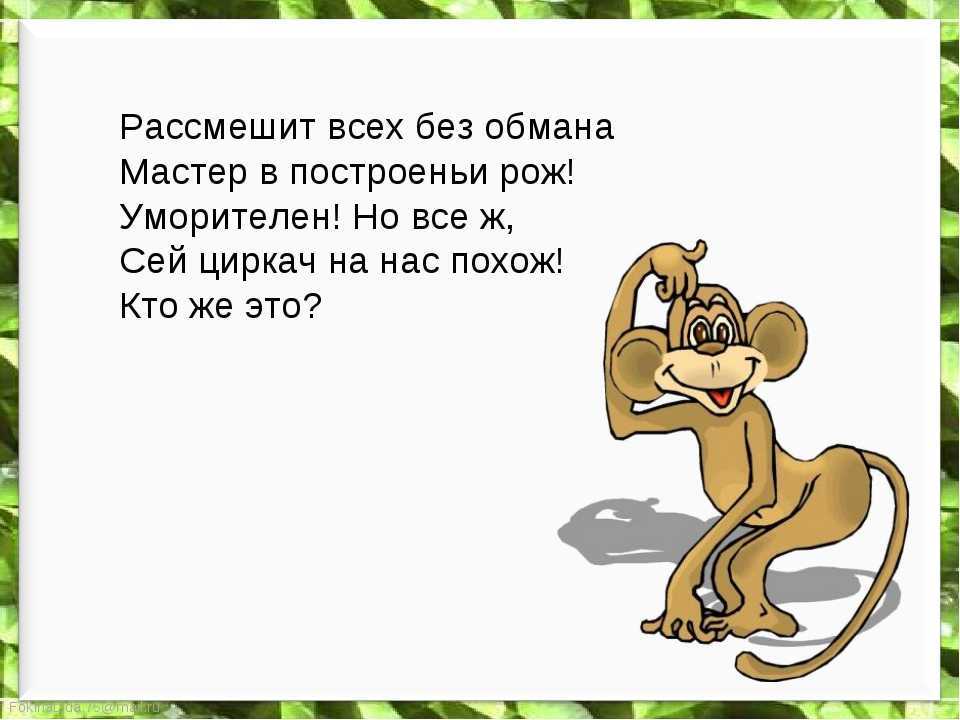 Время размять мозги: решаем задачи на логику | блог 4brain