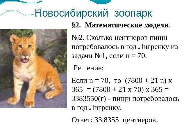 Авторское сочинение на тему поход в зоопарк - сочинить.ру