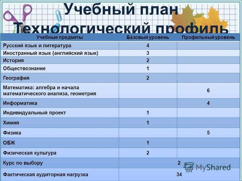 Профильные предметы в школе: как выбрать профиль в 10 классе : sotkaonline.ru | блог