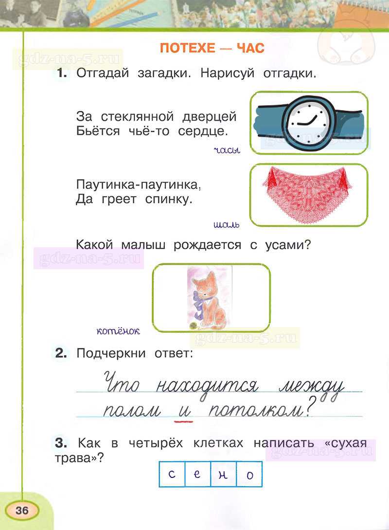 Окружающий мир 2 класс 1 часть. о кошках и собаках стр. 84 – 87