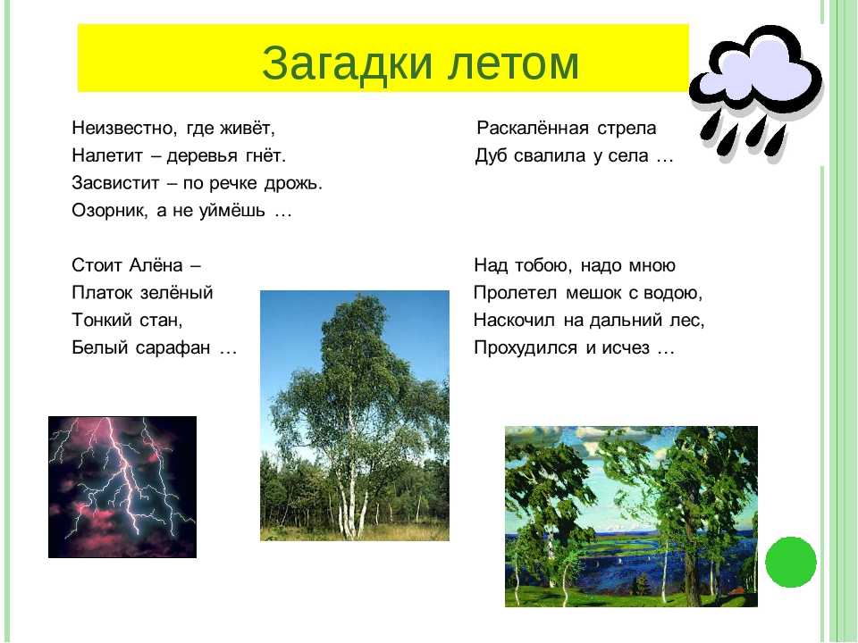 Загадки про лето для дошкольников и школьников с ответами