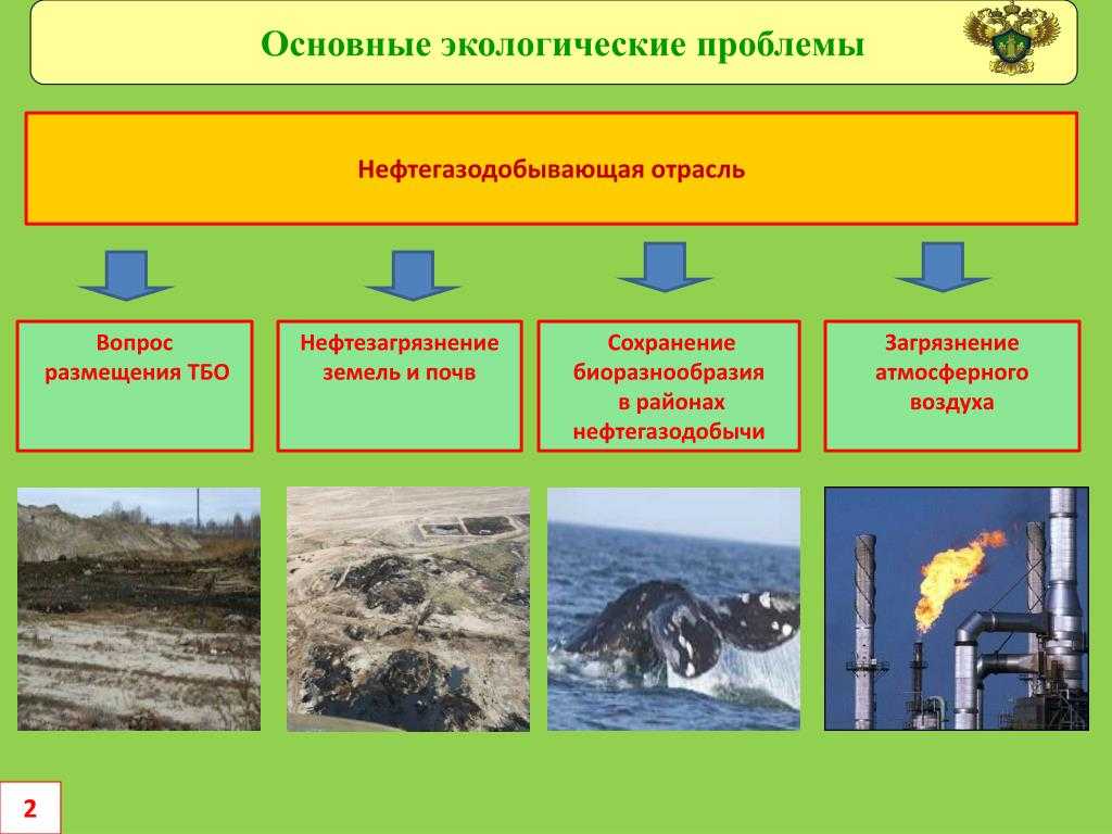 Природная зона сургута